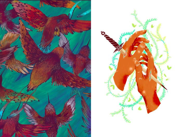 colibri