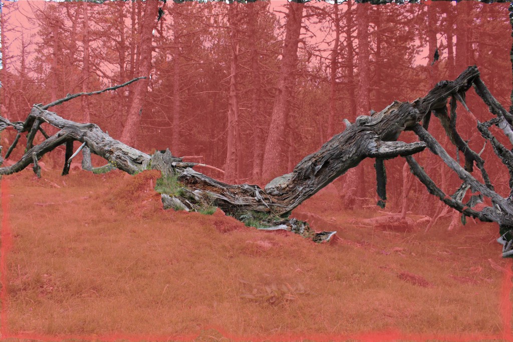 refuge3
