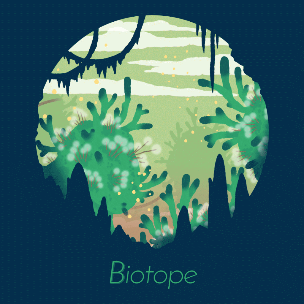 Biotoptop-1080-1080(1)