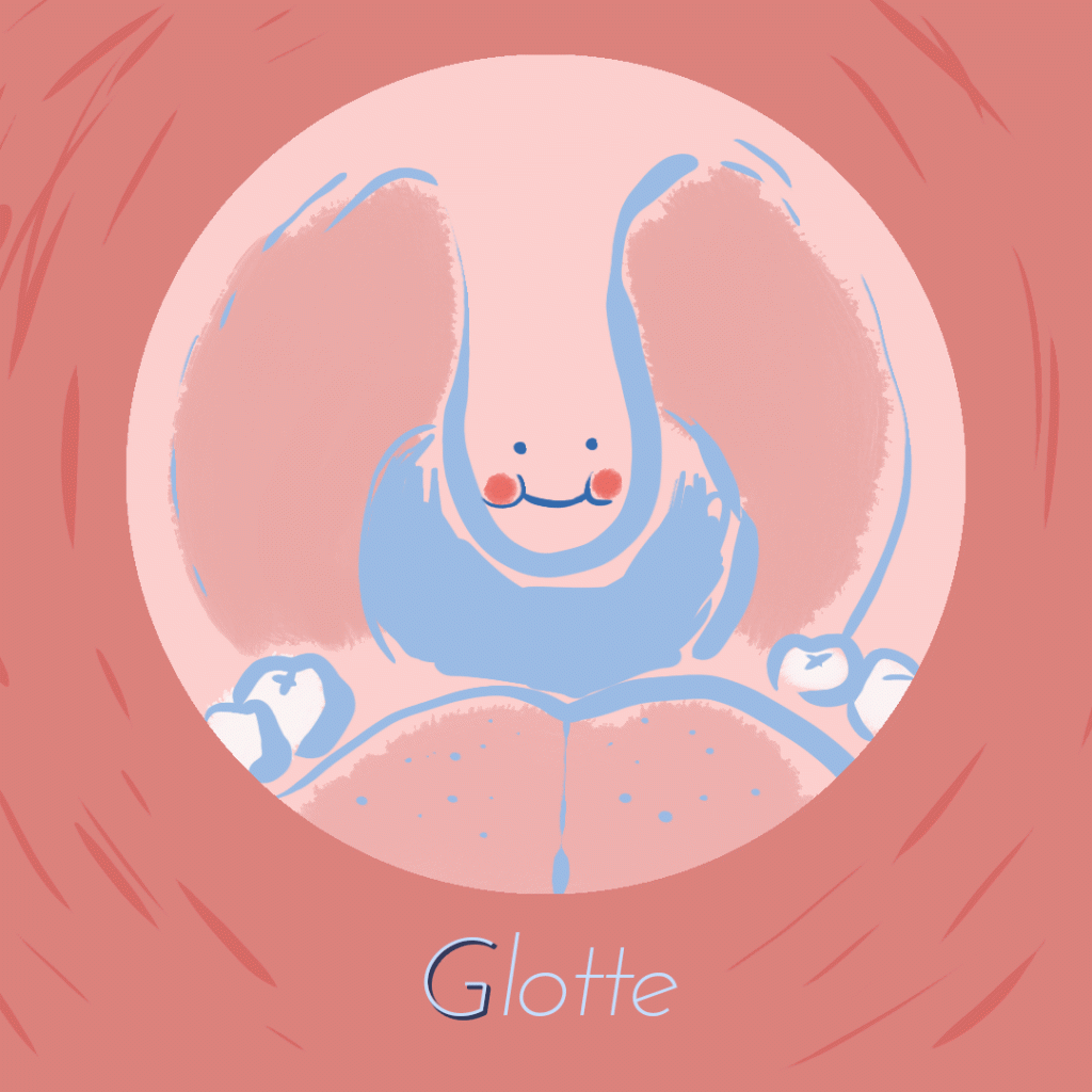 Glotte