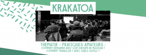 2017-01-PRATIQUES-AMATEURS